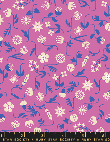 Pixie Faire Pixie Packs Pixie Packs Girls On The Go Kit - Ruby Star Society | Salutations Pixie Faire